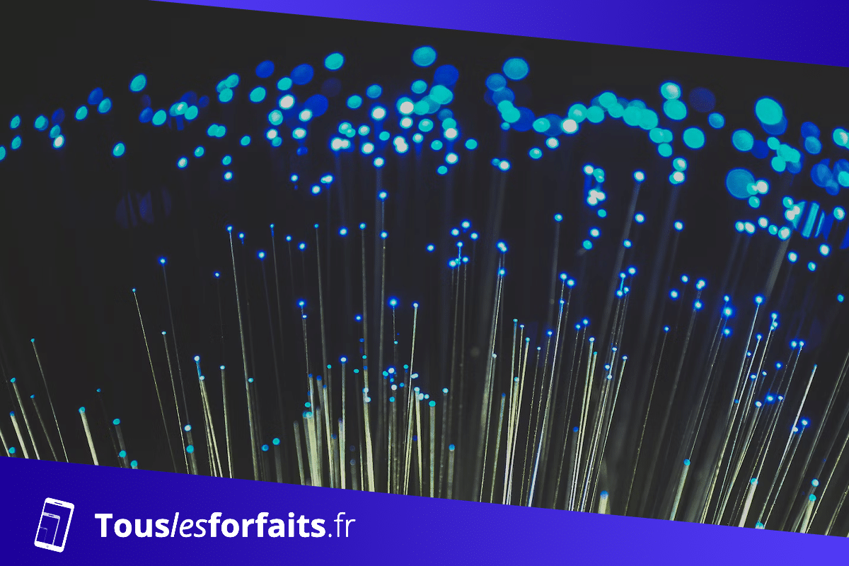 Fiber to the Home